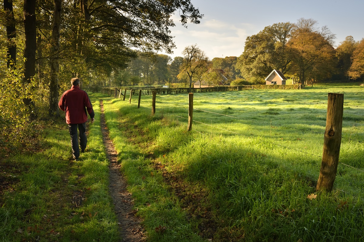 Wandelaar op een onverhard pad in de omgeving van Lochem